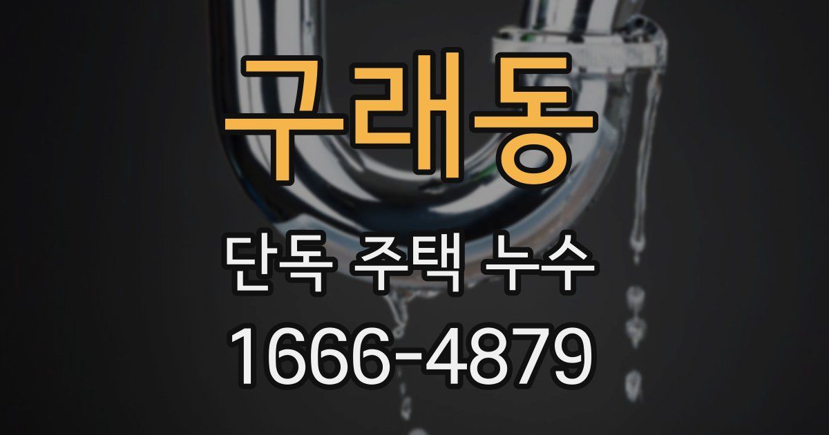 구래동 단독 주택 누수