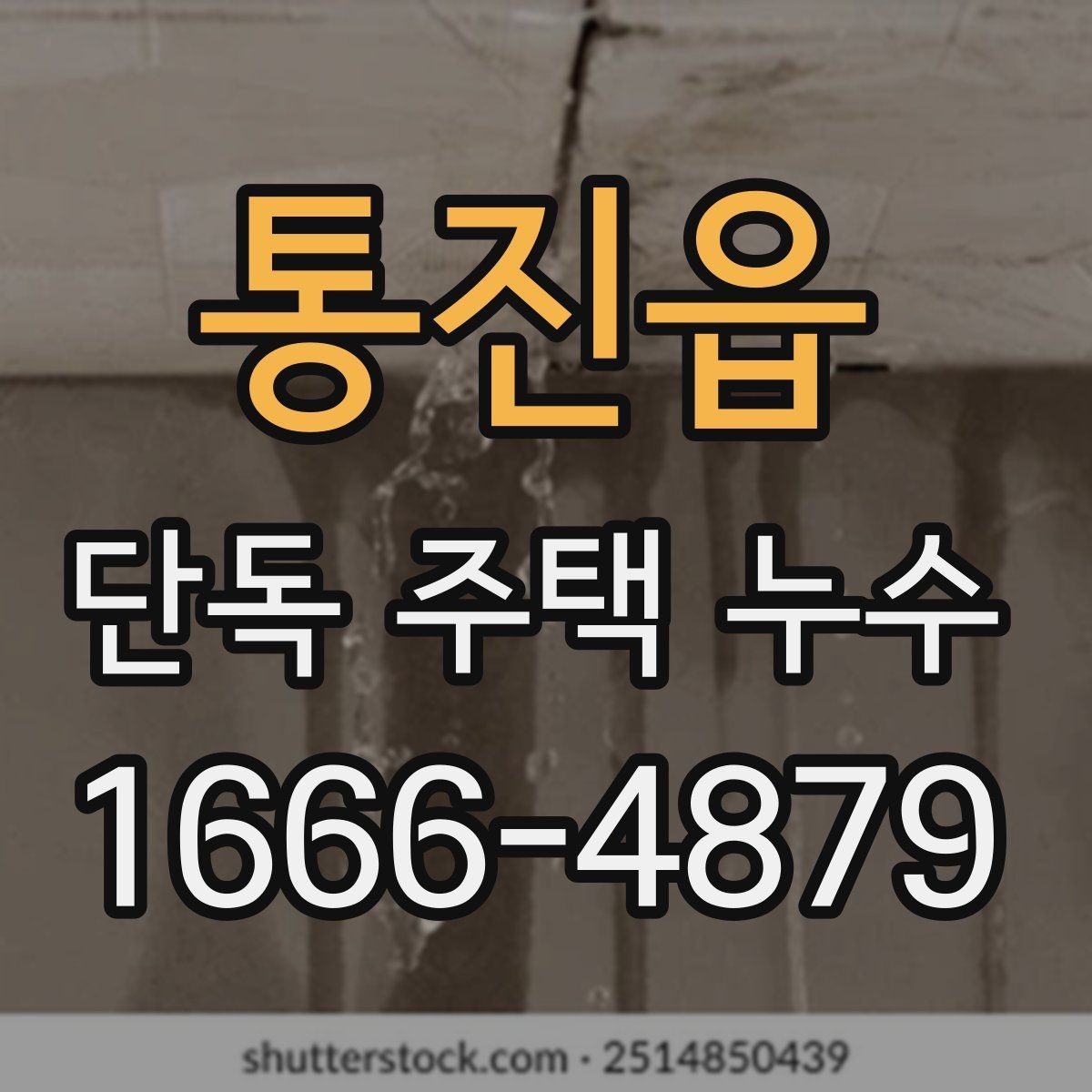 통진읍 단독 주택 누수 점검으로 알 수 있는 구조 문제