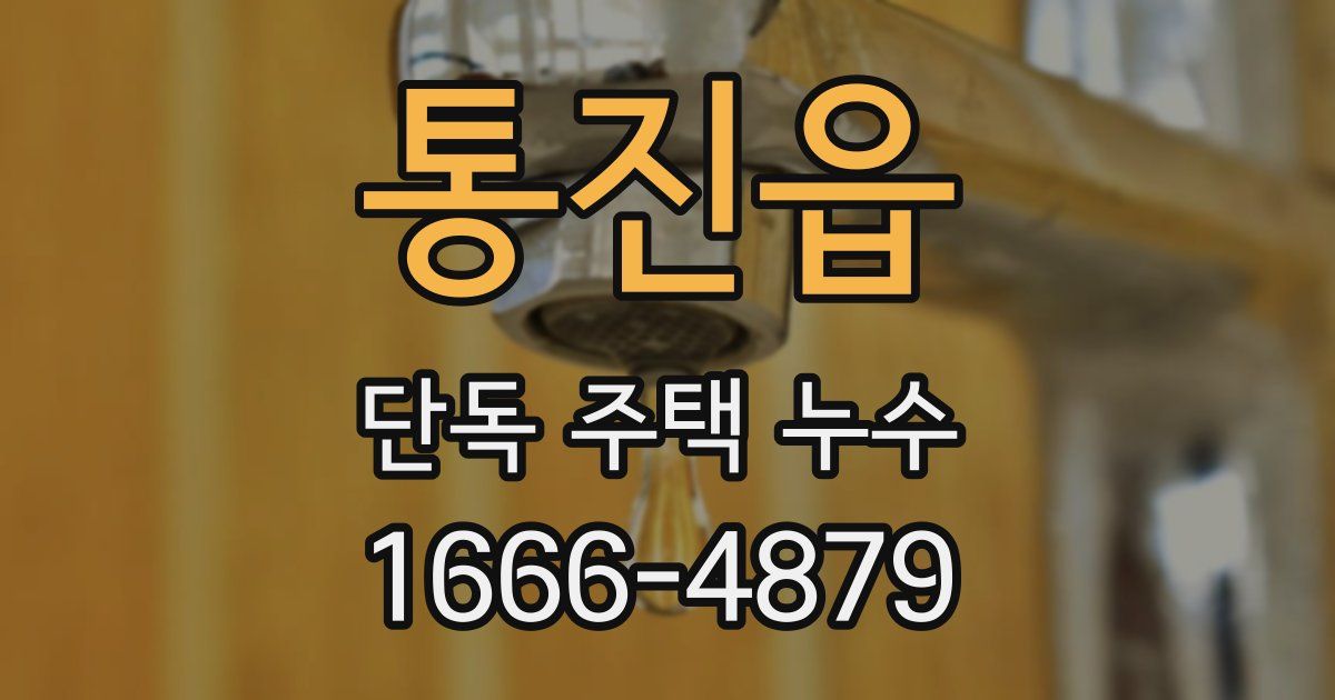 통진읍 단독 주택 누수