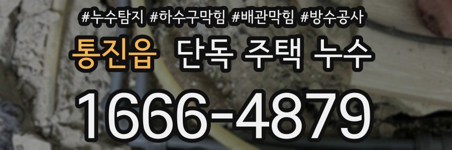 통진읍 단독 주택 누수
