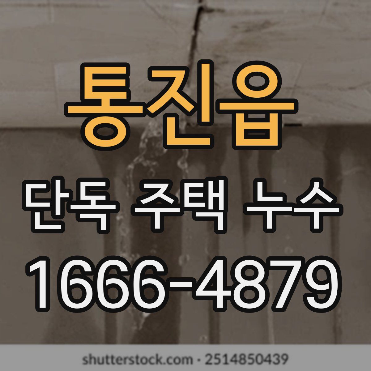 통진읍 단독 주택 누수