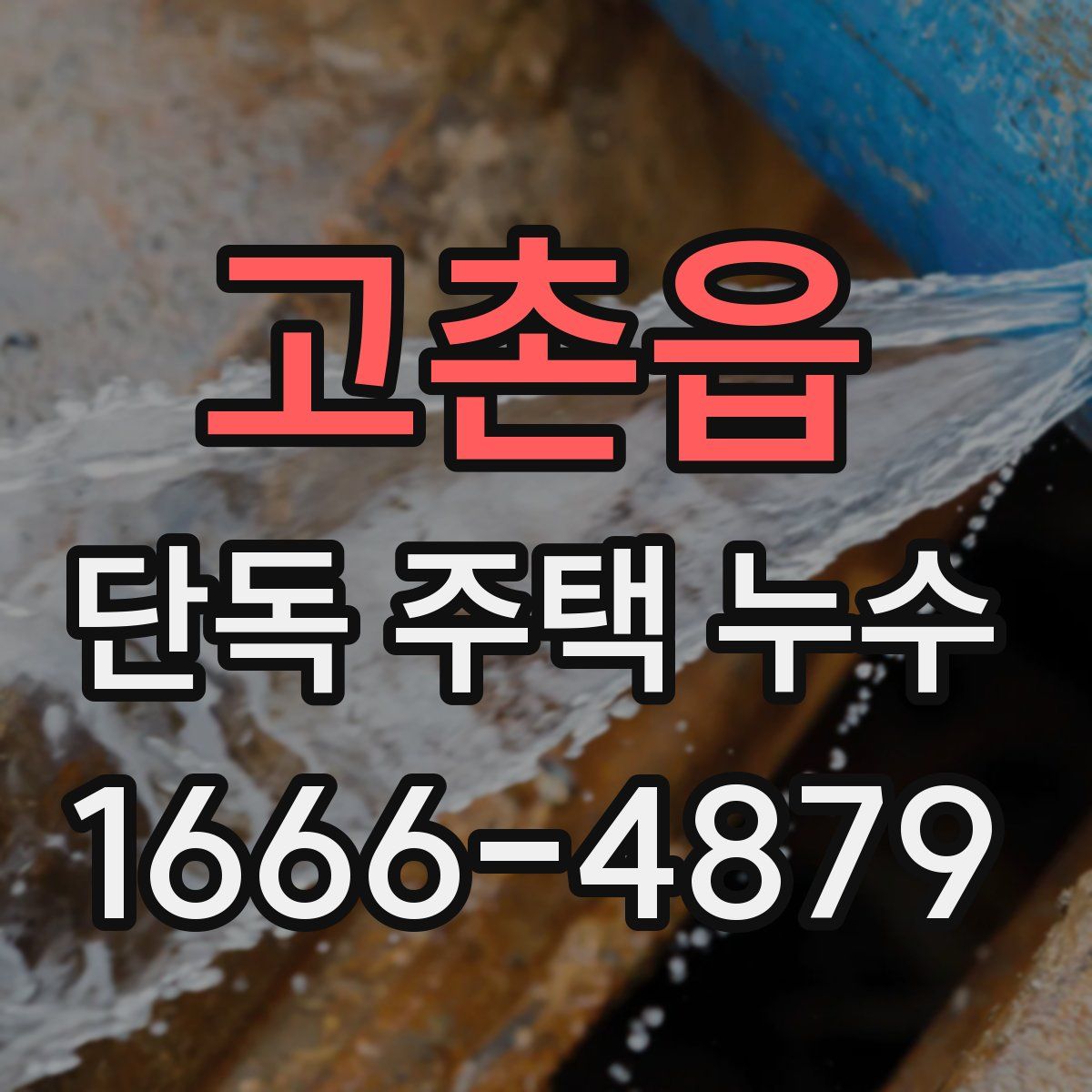 고촌읍 단독 주택 누수