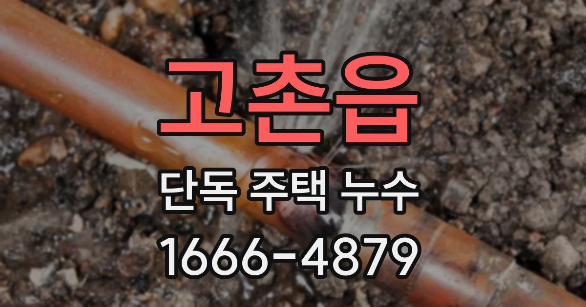 고촌읍 단독 주택 누수