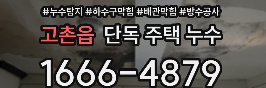 고촌읍 단독 주택 누수