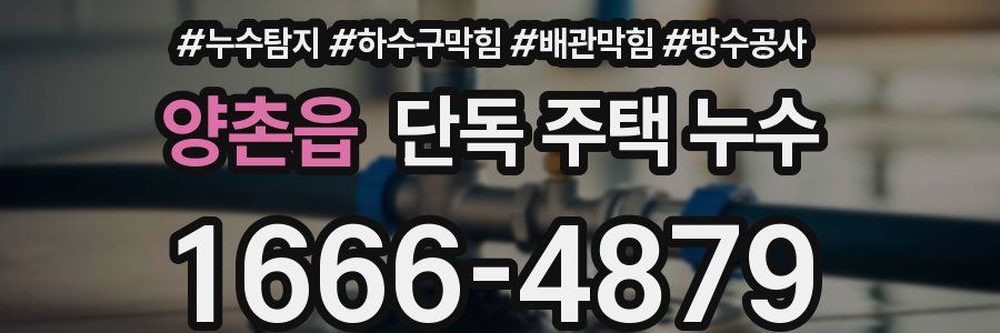 양촌읍 단독 주택 누수