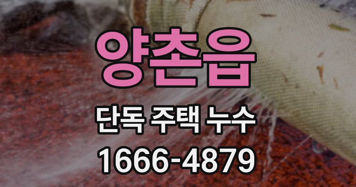 양촌읍 단독 주택 누수