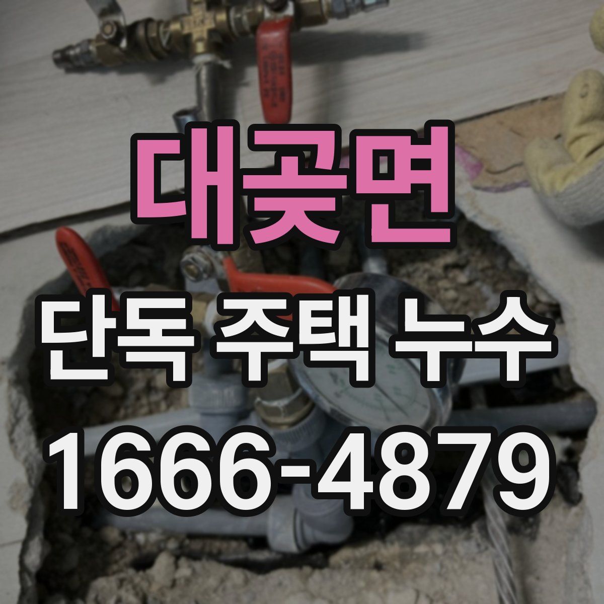 대곶면 단독 주택 누수