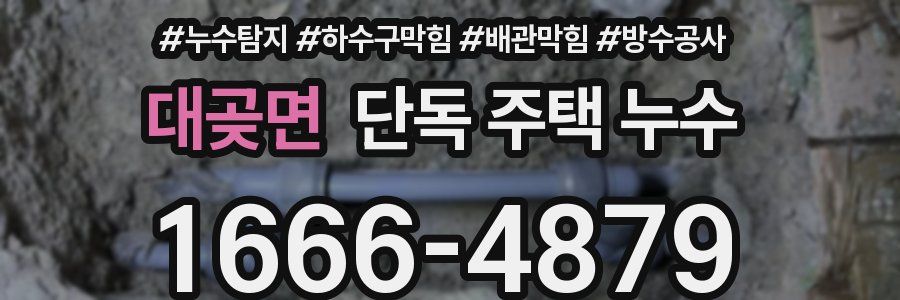 대곶면 단독 주택 누수