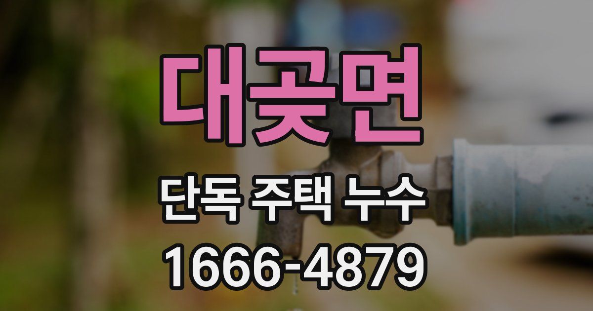 대곶면 단독 주택 누수