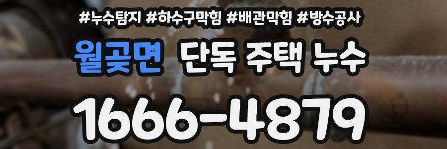 월곶면 단독 주택 누수