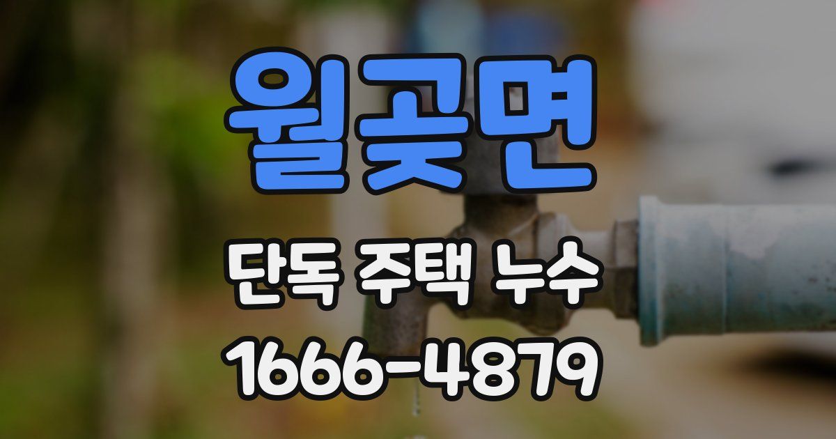 월곶면 단독 주택 누수
