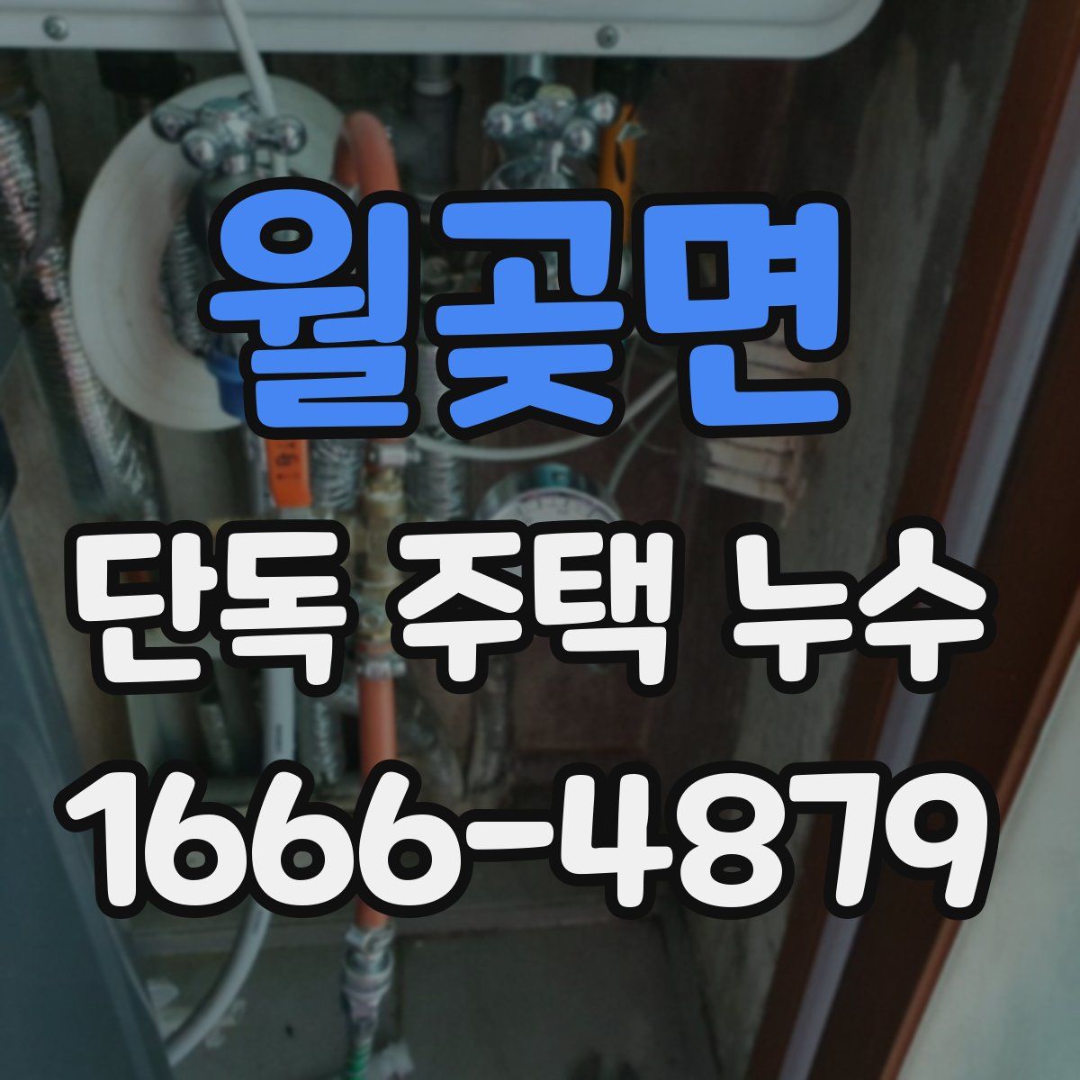 월곶면 단독 주택 누수