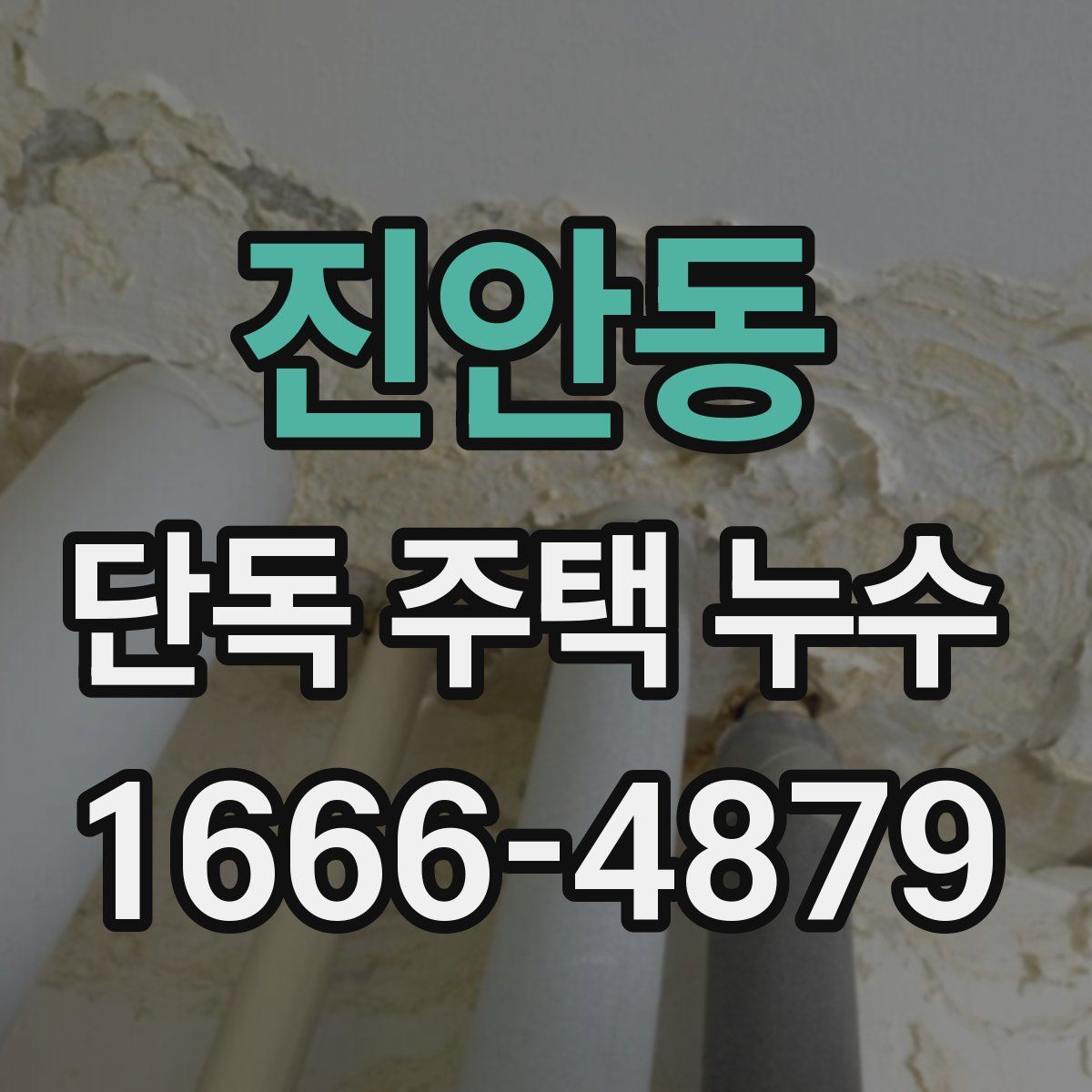 진안동 단독 주택 누수
