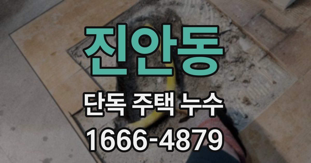 진안동 단독 주택 누수