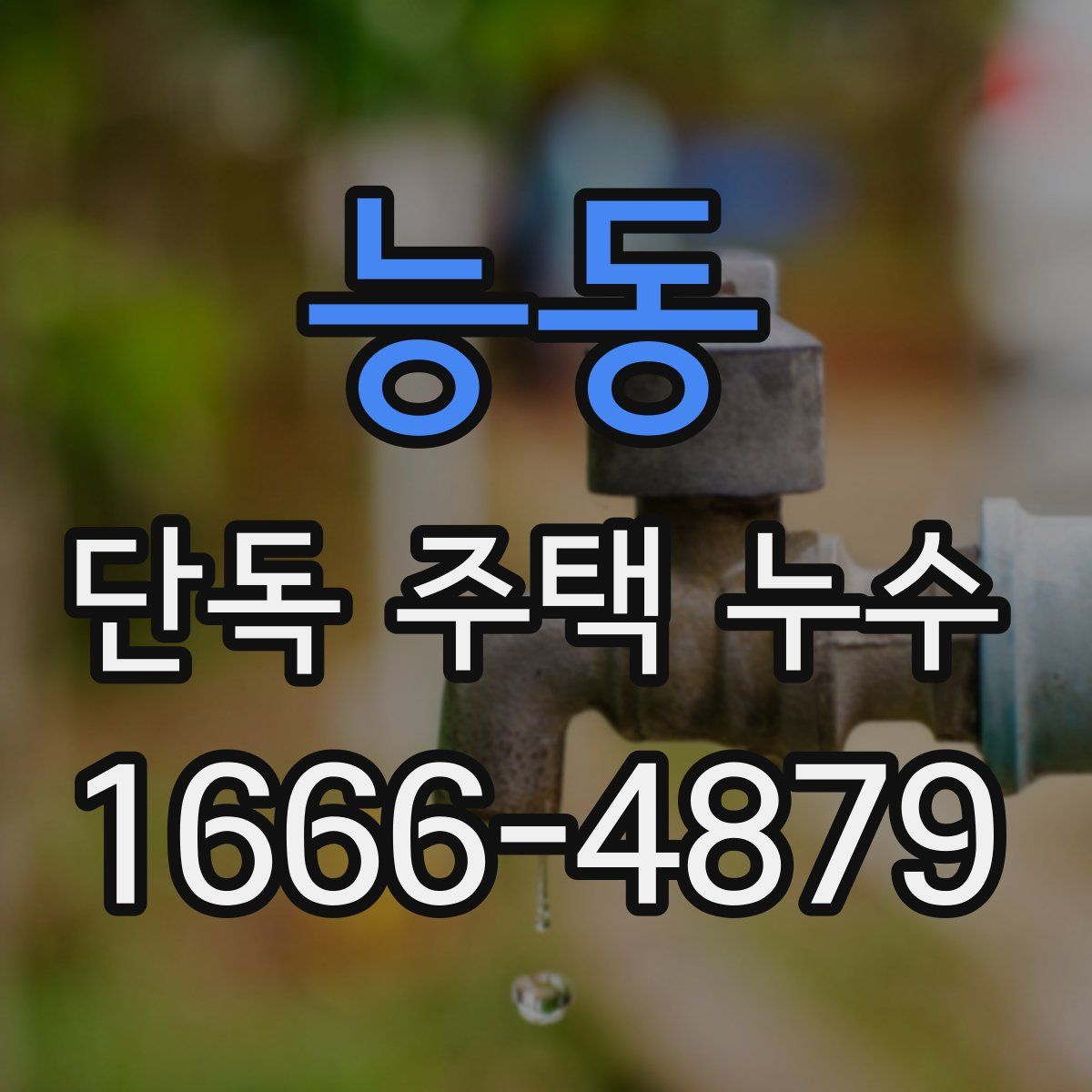 능동 단독 주택 누수