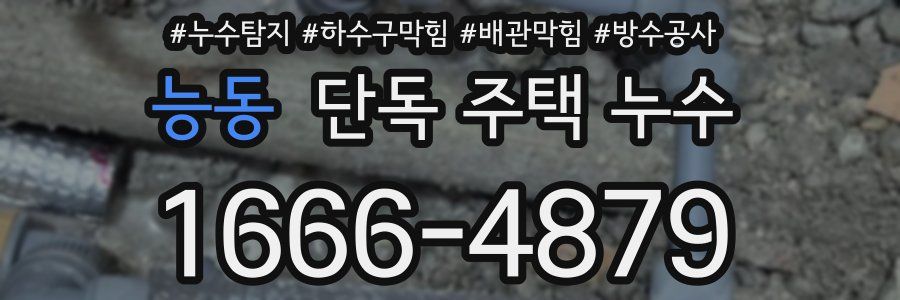 능동 단독 주택 누수