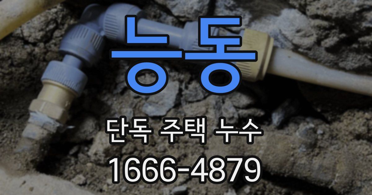 능동 단독 주택 누수