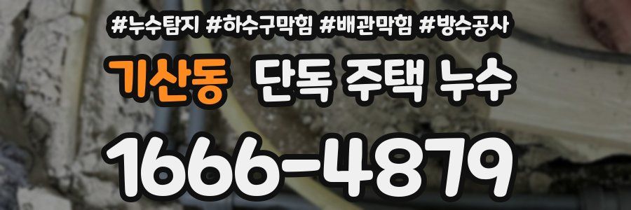 기산동 단독 주택 누수