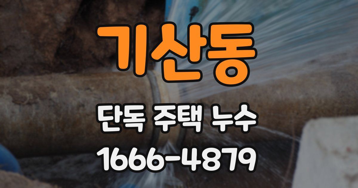 기산동 단독 주택 누수