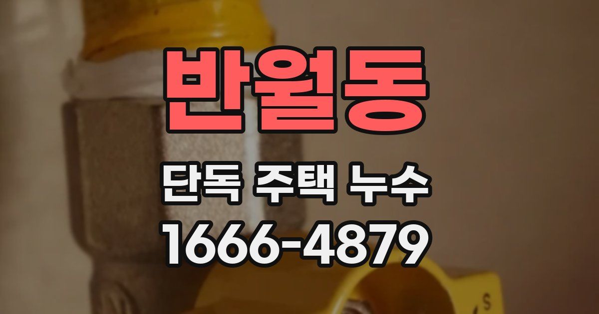 반월동 단독 주택 누수