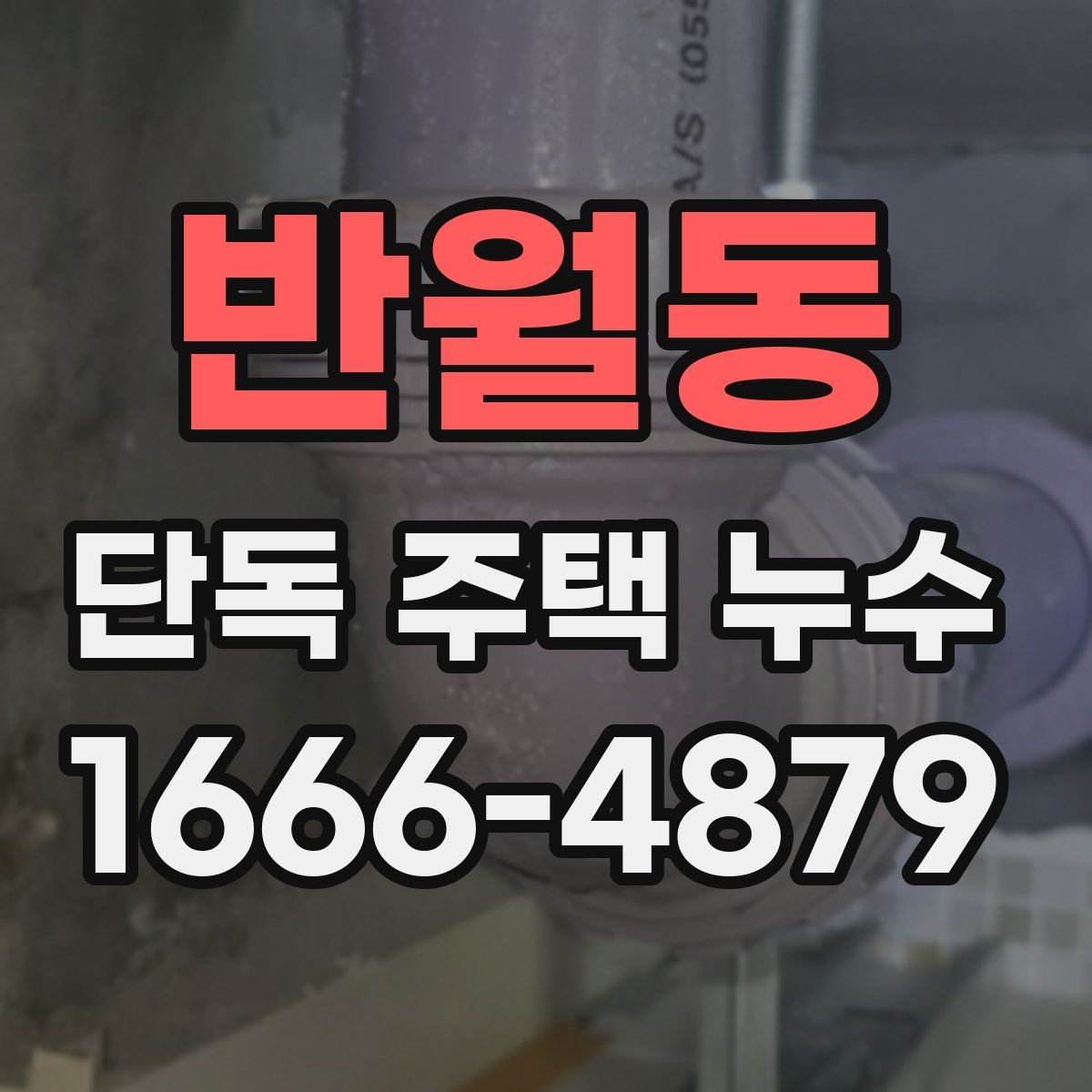 반월동 단독 주택 누수