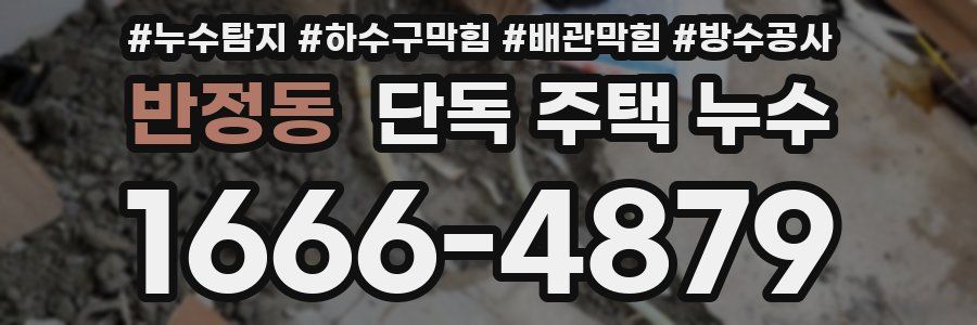 반정동 단독 주택 누수