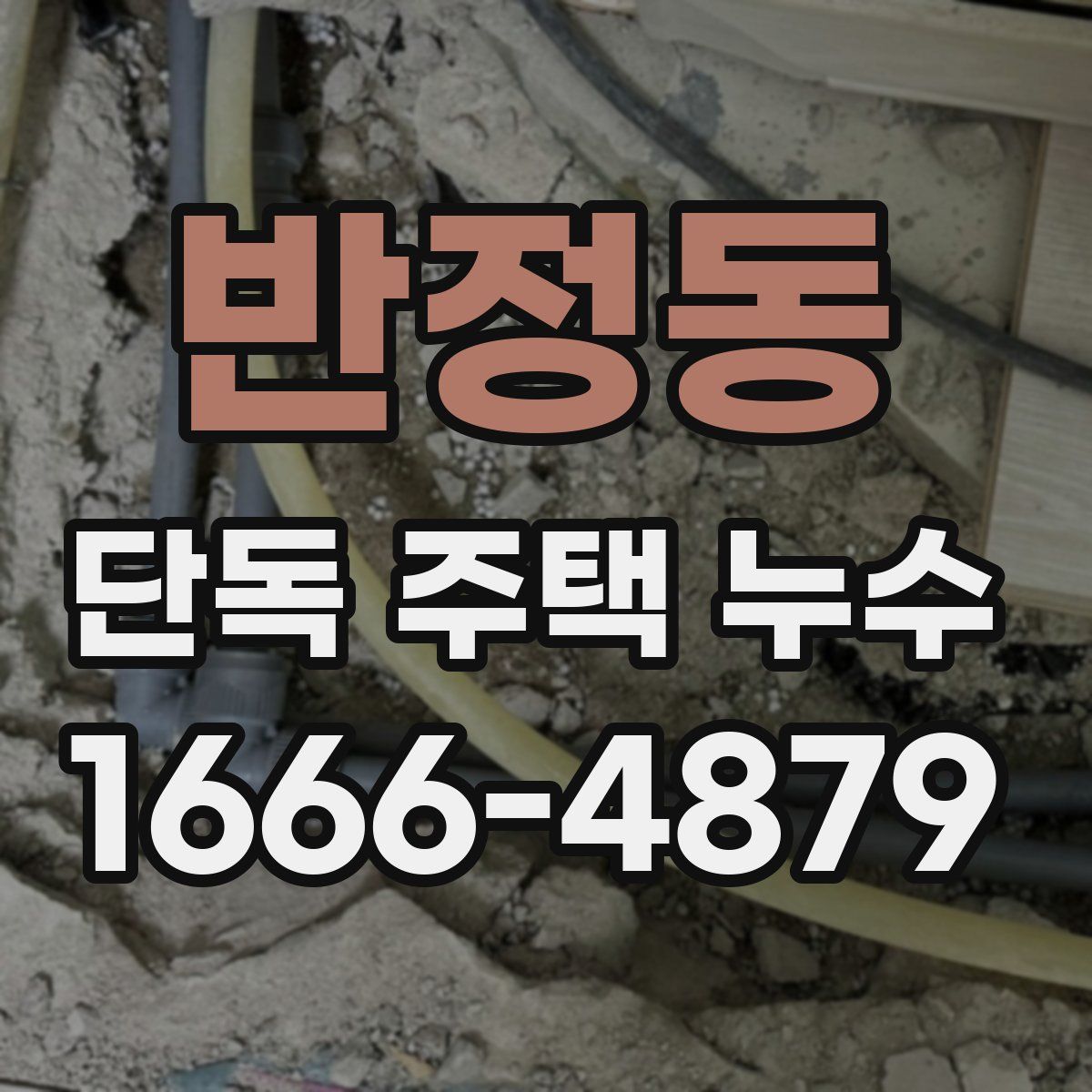 반정동 단독 주택 누수