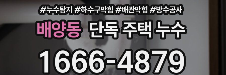 배양동 단독 주택 누수
