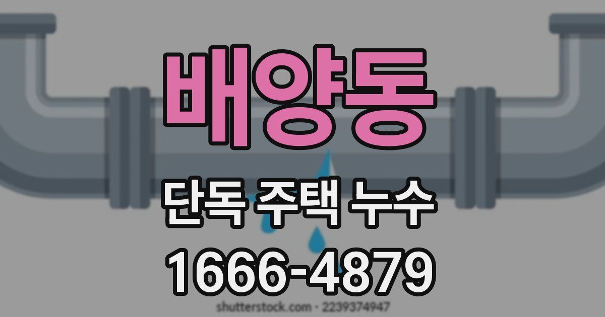 배양동 단독 주택 누수