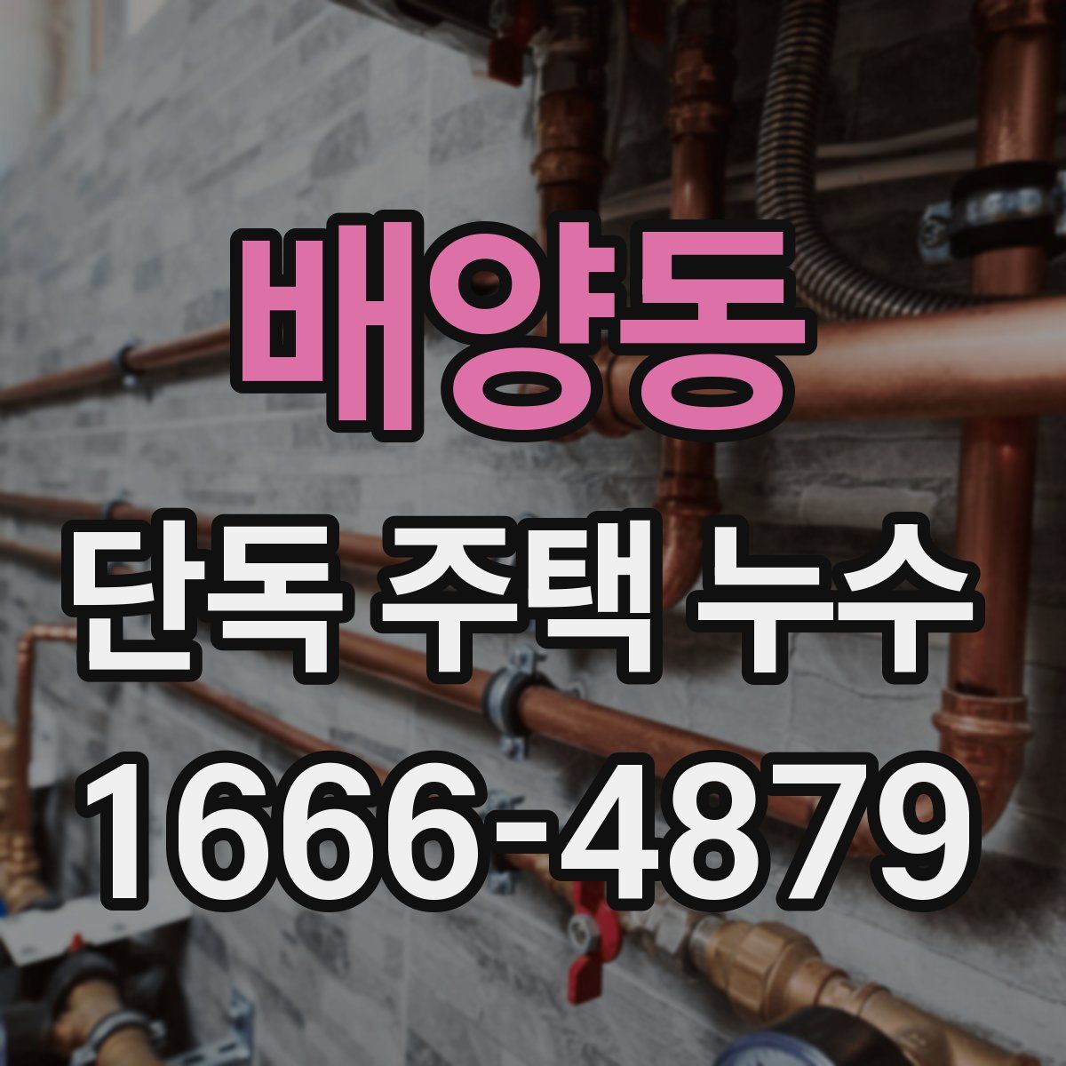 배양동 단독 주택 누수