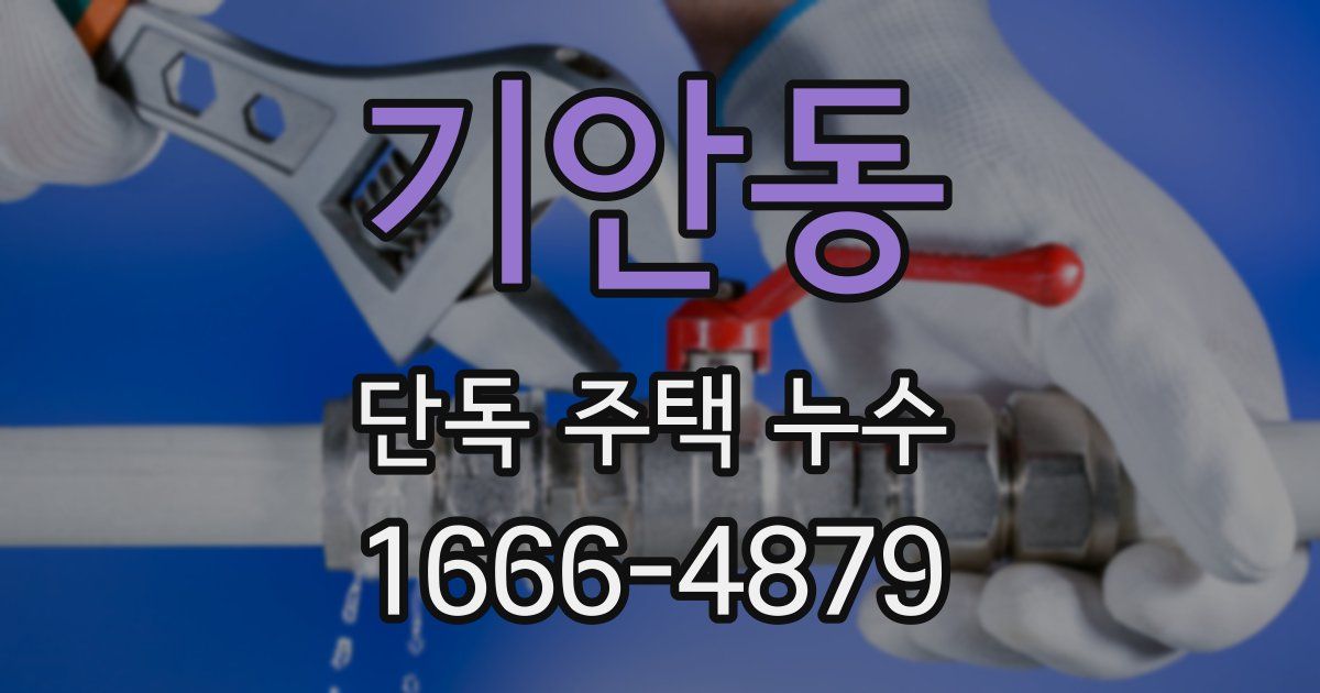 기안동 단독 주택 누수