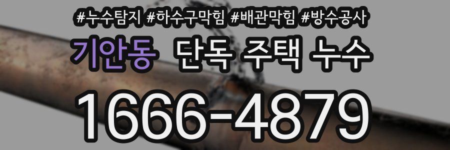 기안동 단독 주택 누수