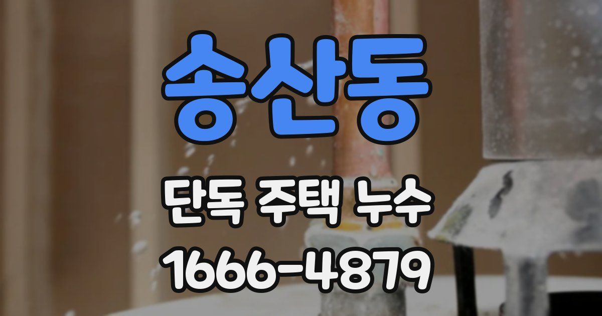 송산동 단독 주택 누수