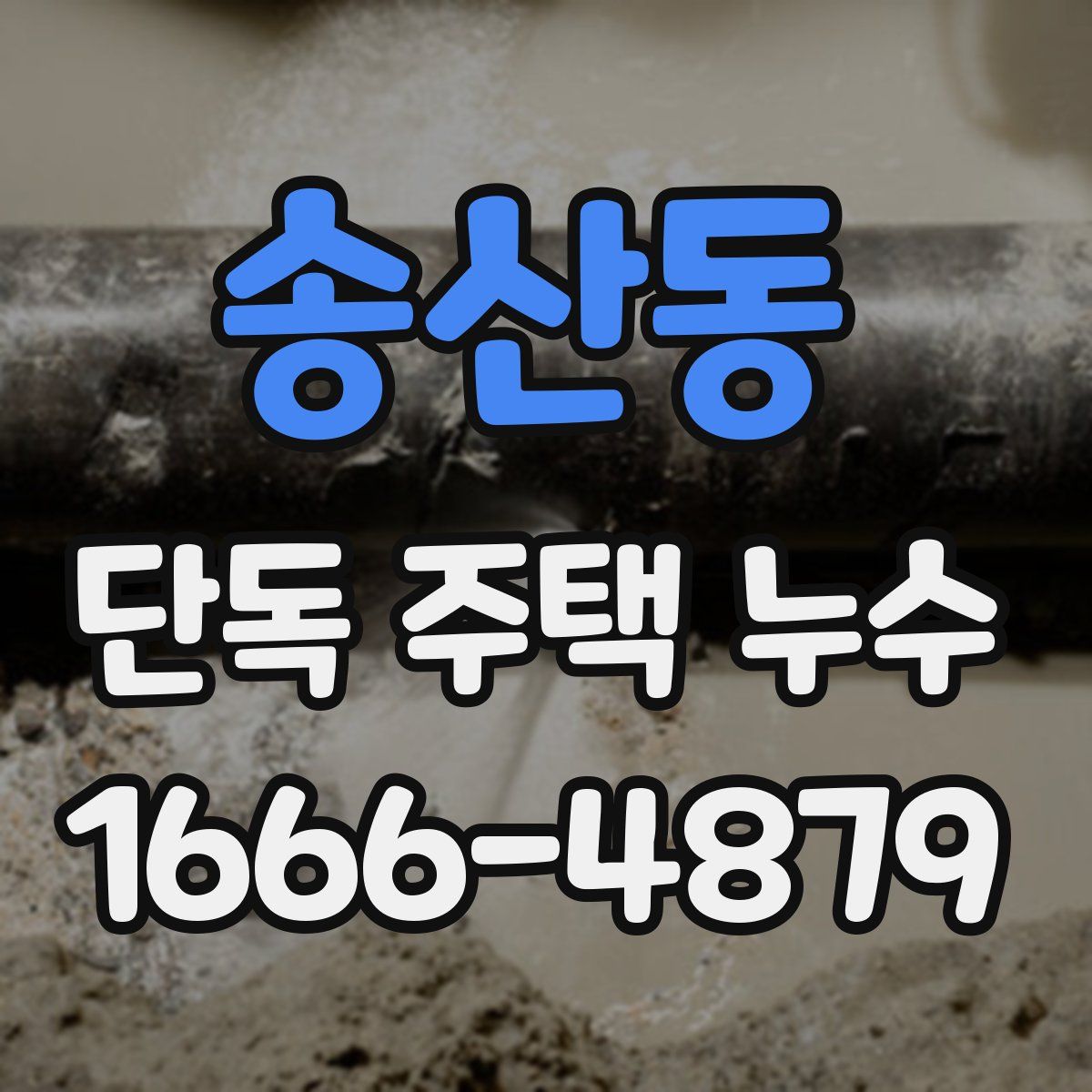 송산동 단독 주택 누수