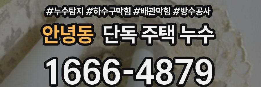 안녕동 단독 주택 누수