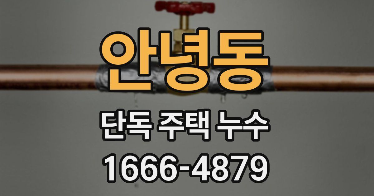 안녕동 단독 주택 누수