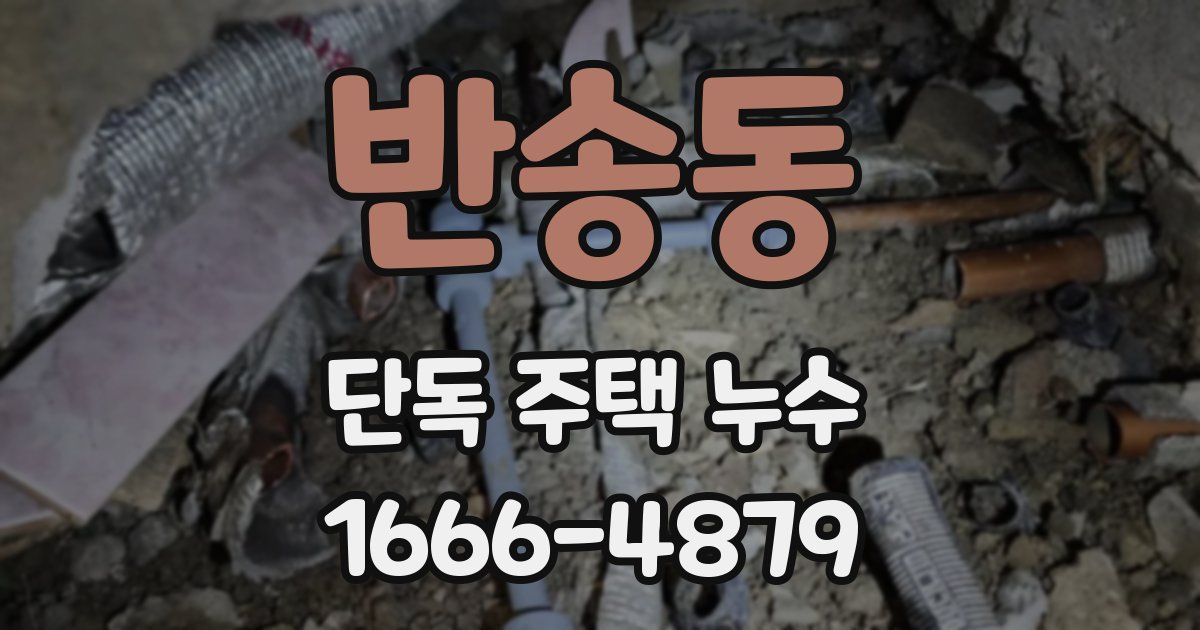 반송동 단독 주택 누수
