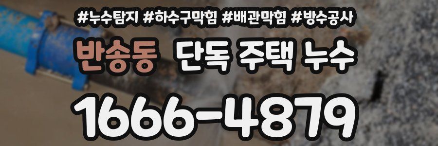 반송동 단독 주택 누수