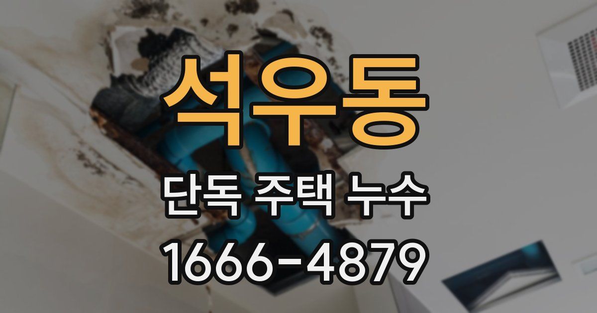 석우동 단독 주택 누수