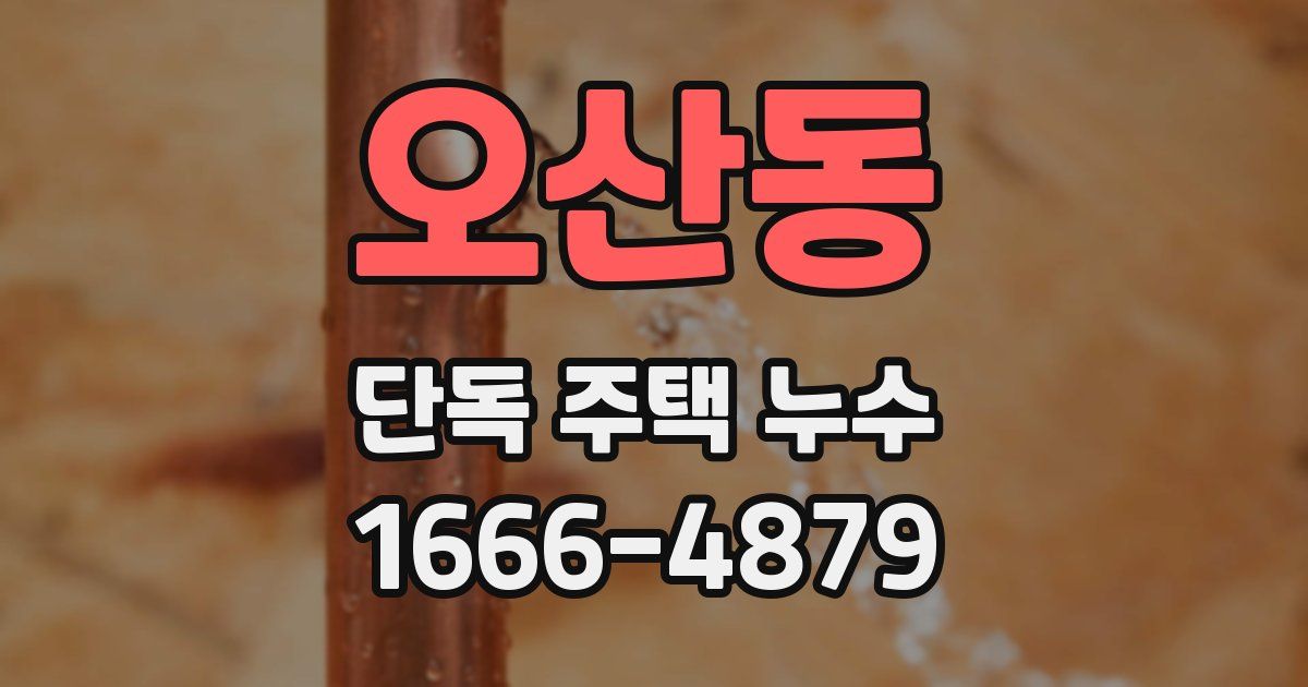 오산동 단독 주택 누수