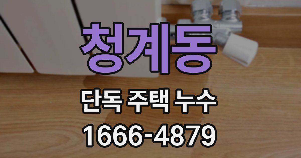 청계동 단독 주택 누수