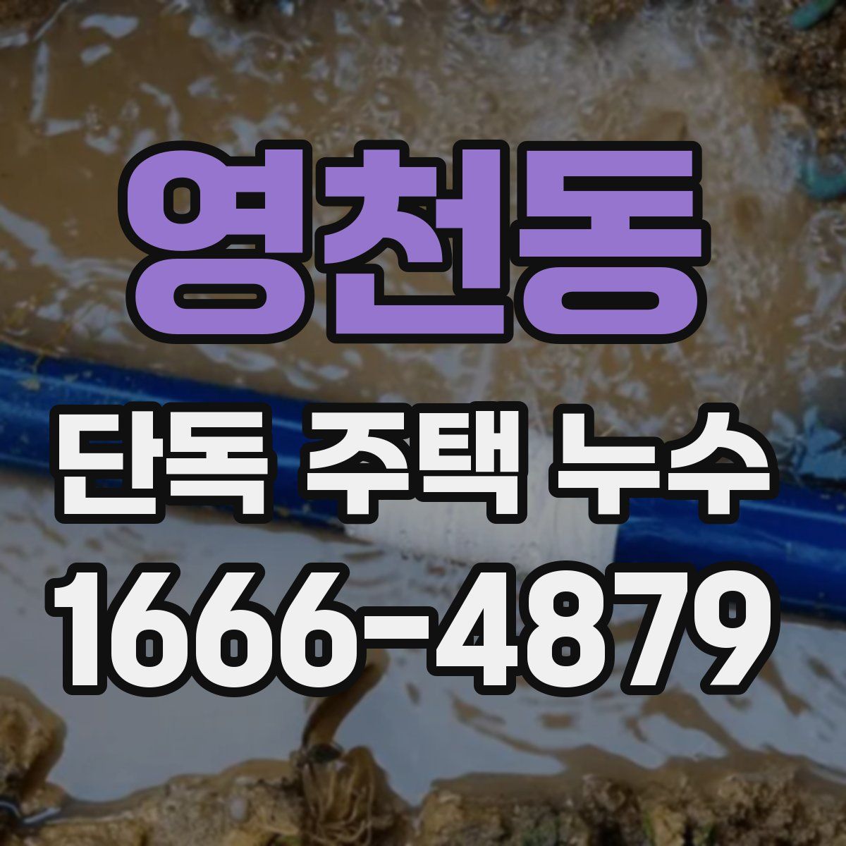 영천동 단독 주택 누수