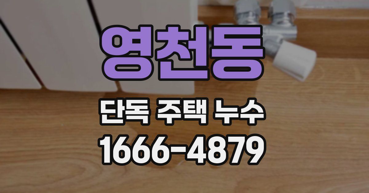 영천동 단독 주택 누수