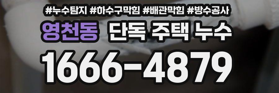 영천동 단독 주택 누수