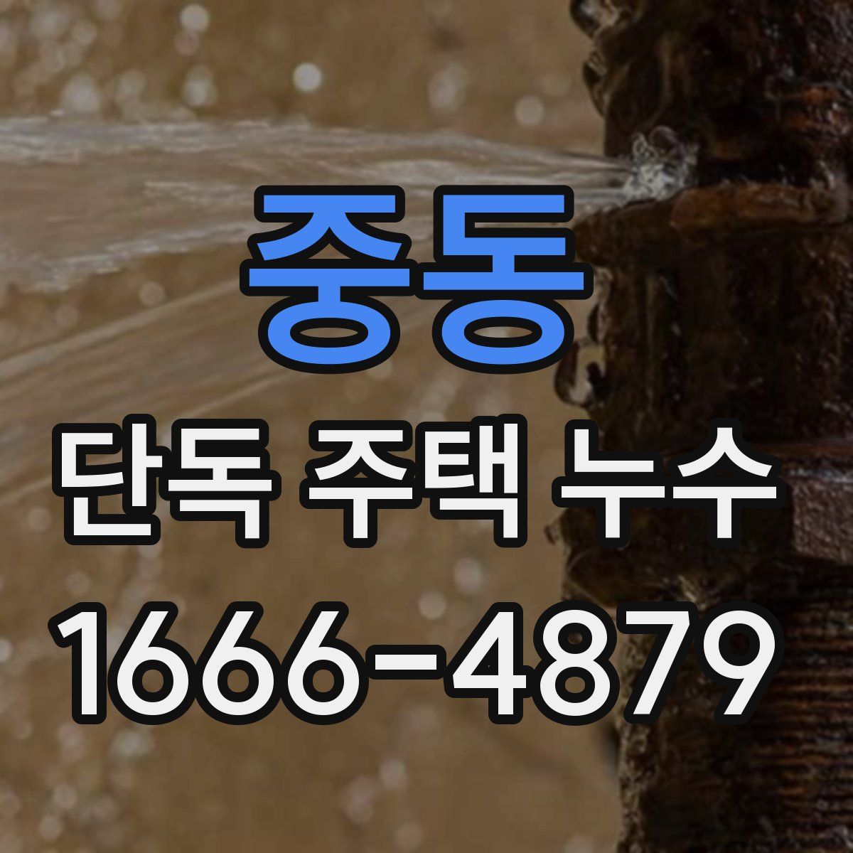 중동 단독 주택 누수