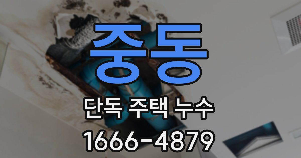 중동 단독 주택 누수