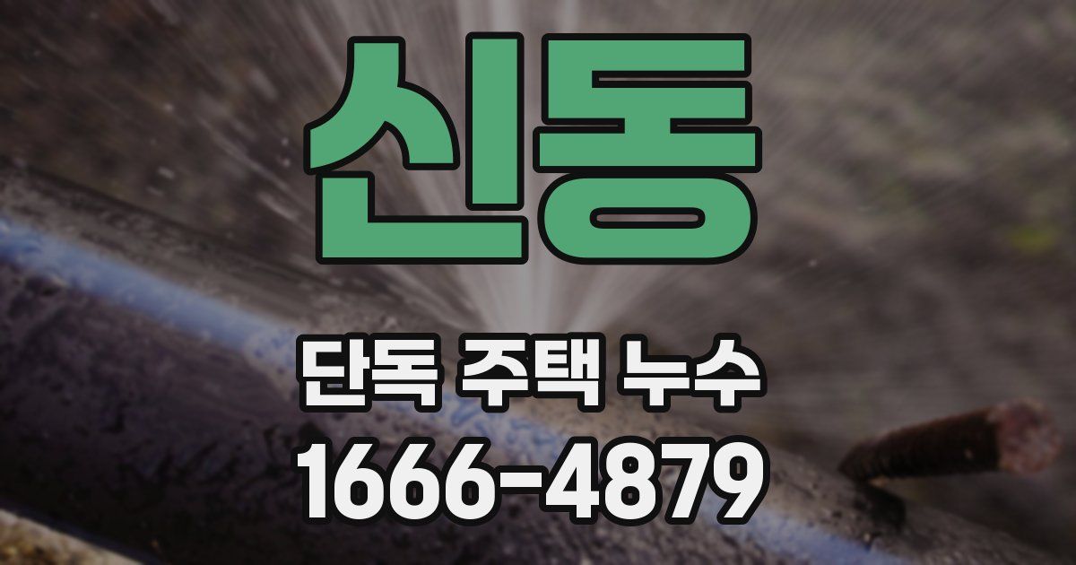 신동 단독 주택 누수
