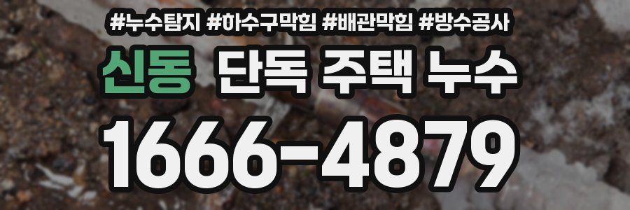 신동 단독 주택 누수