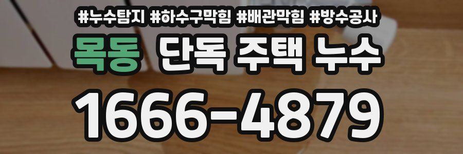 목동 단독 주택 누수