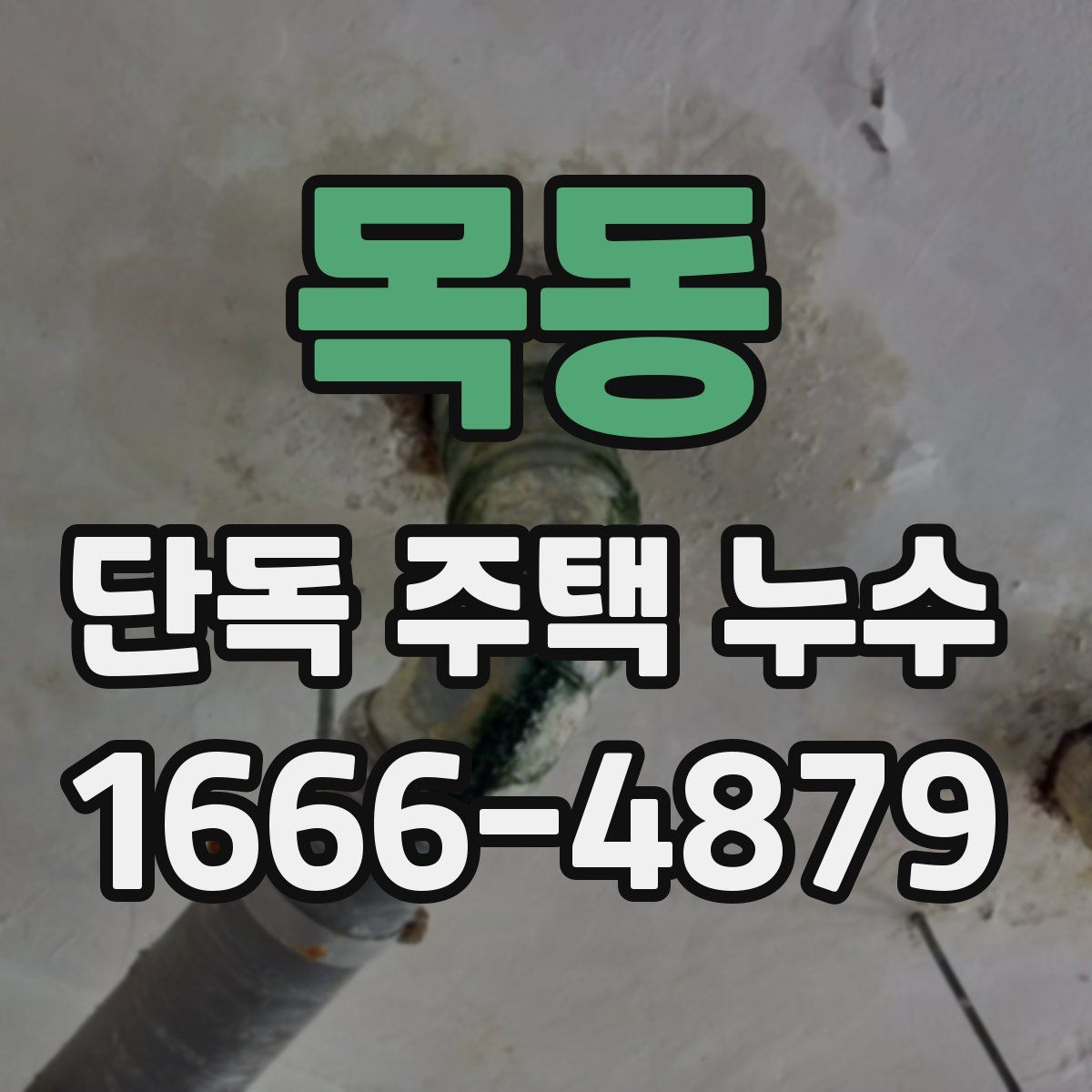 목동 단독 주택 누수